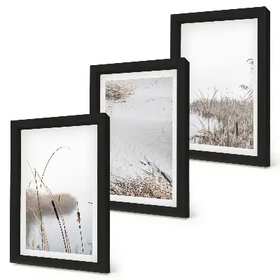 Conjunto de 3 quadros decorativos com temática de vegetação aquática em tons delicados de verão