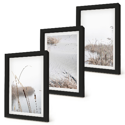 Conjunto de 3 quadros decorativos Vegetação aquática, vistas delicadas de verão.