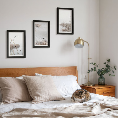 Conjunto de 3 quadros decorativos Vegetação aquática, vistas delicadas de verão.