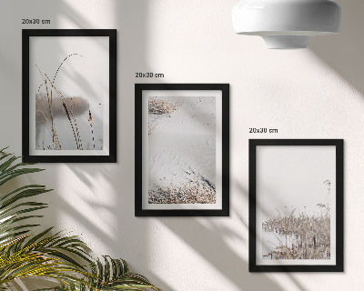 Conjunto de 3 quadros decorativos Vegetação aquática, vistas delicadas de verão.
