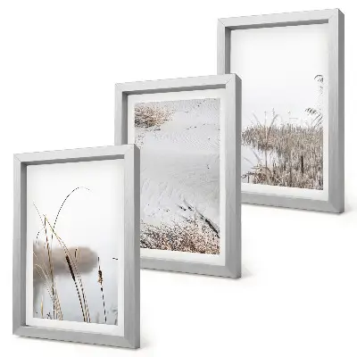 Conjunto de 3 quadros decorativos com temática de vegetação aquática em tons delicados de verão