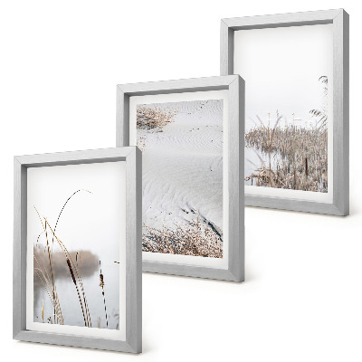 Conjunto de 3 quadros decorativos Vegetação aquática, vistas delicadas de verão.
