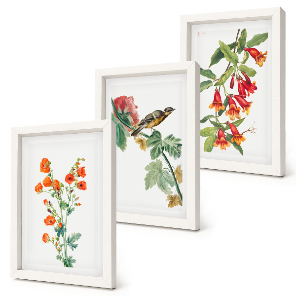Tríptico com moldura Flores retrô pintadas e um pássaro em um galho