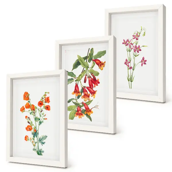 Conjunto de 3 quadros decorativos com estampa de pintura floral retrô vintage