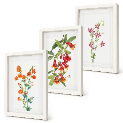 Conjunto de 3 quadros decorativos Pintura floral retrô vintage