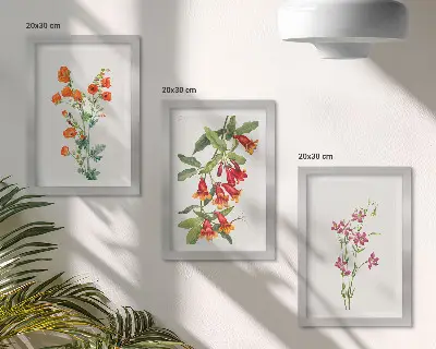 Conjunto de 3 quadros decorativos com estampa de pintura floral retrô vintage