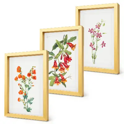 Conjunto de 3 quadros decorativos com estampa de pintura floral retrô vintage