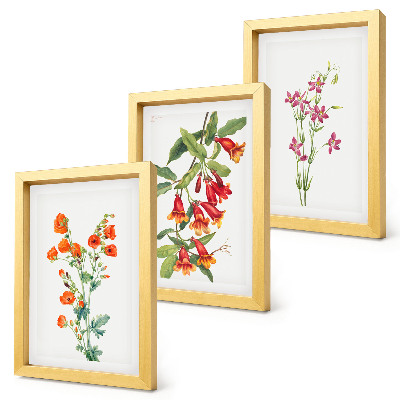 Conjunto de 3 quadros decorativos Pintura floral retrô vintage