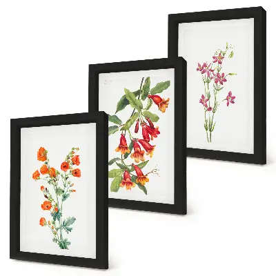 Conjunto de 3 quadros decorativos com estampa de pintura floral retrô vintage