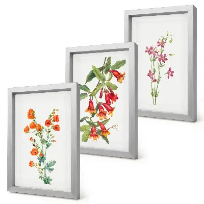 Conjunto de 3 quadros decorativos com estampa de pintura floral retrô vintage