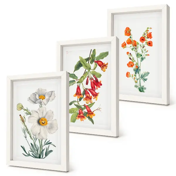 Conjunto de molduras com imagens com composições florais em estilo pintura vintage