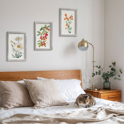 Conjunto de molduras com imagens Composições florais retrô pintura vintage