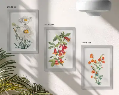Conjunto de molduras com imagens com composições florais em estilo pintura vintage