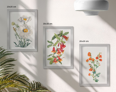Conjunto de molduras com imagens Composições florais retrô pintura vintage