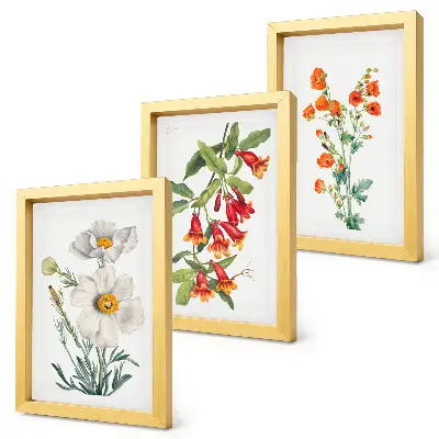 Conjunto de molduras com imagens com composições florais em estilo pintura vintage