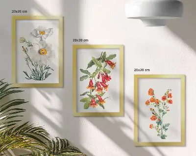 Conjunto de molduras com imagens com composições florais em estilo pintura vintage