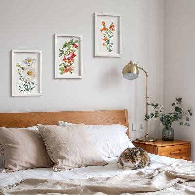 Conjunto de molduras com imagens Composições florais retrô pintura vintage