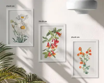 Conjunto de molduras com imagens com composições florais em estilo pintura vintage
