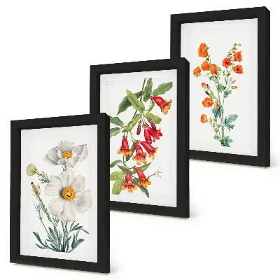 Conjunto de molduras com imagens com composições florais em estilo pintura vintage