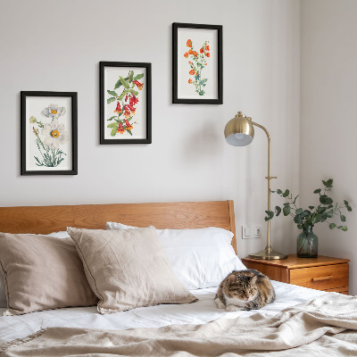 Conjunto de molduras com imagens Composições florais retrô pintura vintage