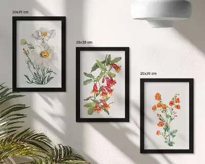 Conjunto de molduras com imagens com composições florais em estilo pintura vintage