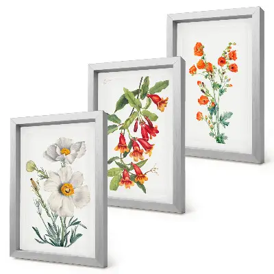 Conjunto de molduras com imagens com composições florais em estilo pintura vintage