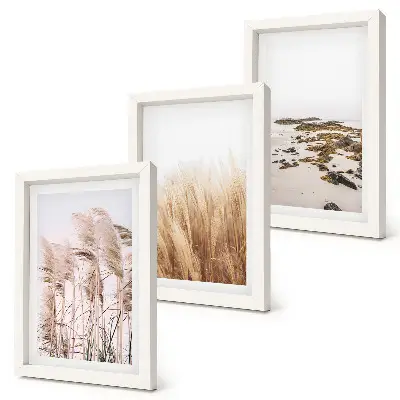 Conjunto de quadros com imagens campos de capim-dos-pampas e praia boêmia