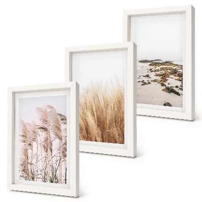 Conjunto de molduras com imagens Campos de capim-dos-pampas e uma praia boêmia