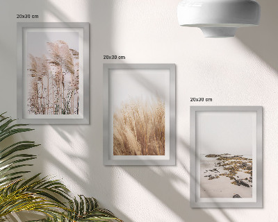 Conjunto de molduras com imagens Campos de capim-dos-pampas e uma praia boêmia