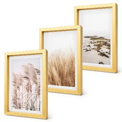 Conjunto de quadros com imagens campos de capim-dos-pampas e praia boêmia
