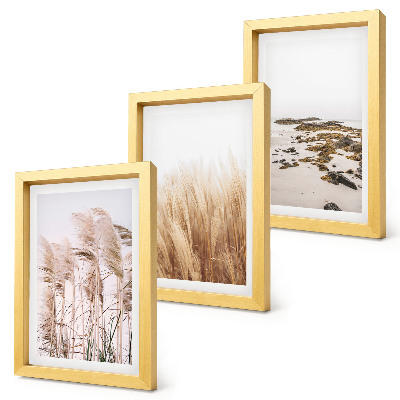 Conjunto de molduras com imagens Campos de capim-dos-pampas e uma praia boêmia