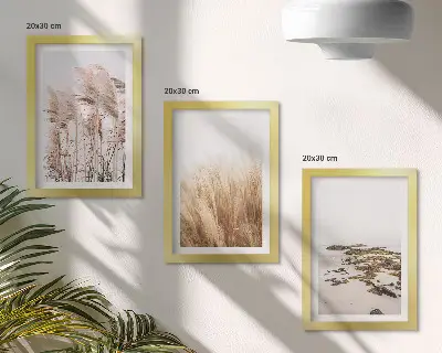 Conjunto de quadros com imagens campos de capim-dos-pampas e praia boêmia