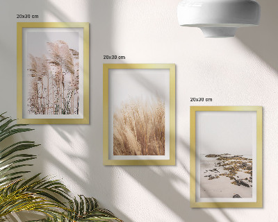 Conjunto de molduras com imagens Campos de capim-dos-pampas e uma praia boêmia