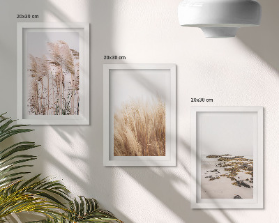 Conjunto de molduras com imagens Campos de capim-dos-pampas e uma praia boêmia