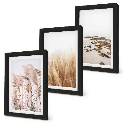 Conjunto de molduras com imagens Campos de capim-dos-pampas e uma praia boêmia