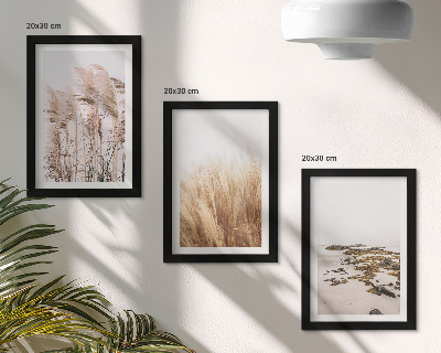 Conjunto de molduras com imagens Campos de capim-dos-pampas e uma praia boêmia