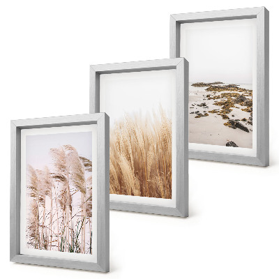 Conjunto de molduras com imagens Campos de capim-dos-pampas e uma praia boêmia