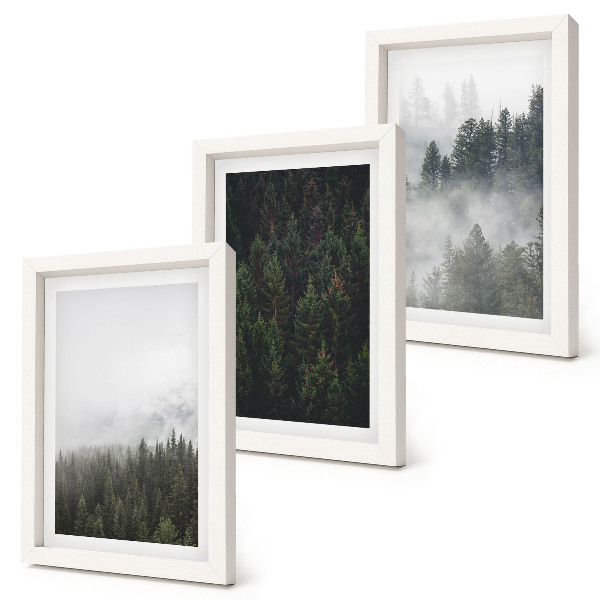 Conjunto de molduras com imagens Florestas verdejantes em um cenário natural envolto em névoa.