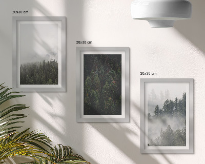 Conjunto de molduras com imagens Florestas verdejantes em um cenário natural envolto em névoa.