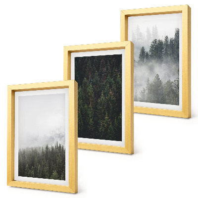 Conjunto de molduras com imagens Florestas verdejantes em um cenário natural envolto em névoa.