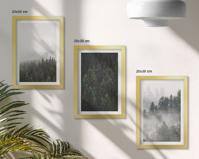 Conjunto de molduras com imagens Florestas verdejantes em um cenário natural envolto em névoa.