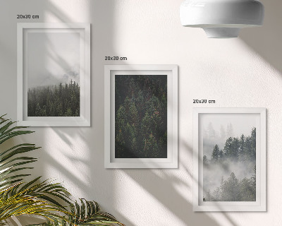 Conjunto de molduras com imagens Florestas verdejantes em um cenário natural envolto em névoa.