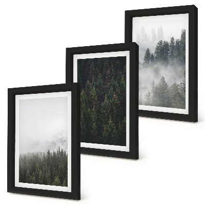 Conjunto de molduras com imagens Florestas verdejantes em um cenário natural envolto em névoa.