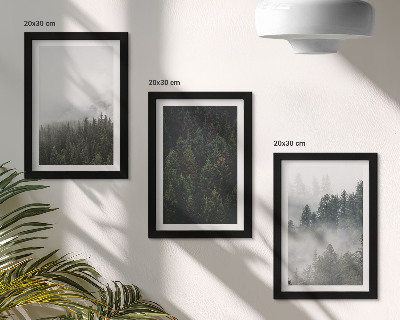 Conjunto de molduras com imagens Florestas verdejantes em um cenário natural envolto em névoa.