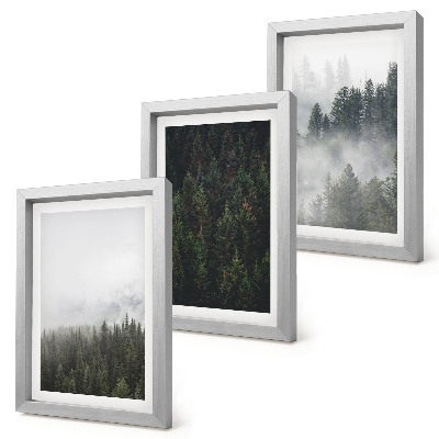 Conjunto de molduras com imagens Florestas verdejantes em um cenário natural envolto em névoa.