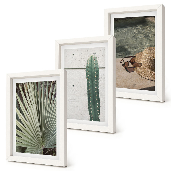 Conjunto de molduras com imagens Plantas tropicais e acessórios para férias à beira-mar