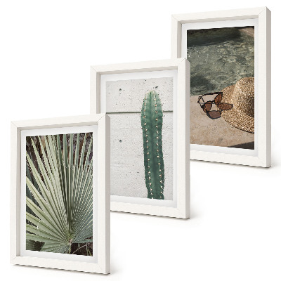 Conjunto de molduras com imagens Plantas tropicais e acessórios para férias à beira-mar