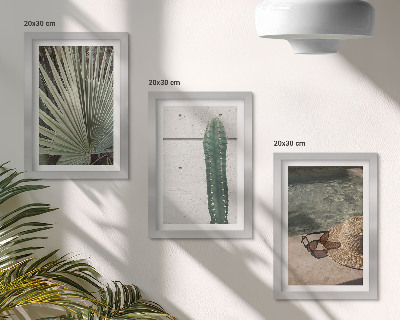 Conjunto de molduras com imagens Plantas tropicais e acessórios para férias à beira-mar