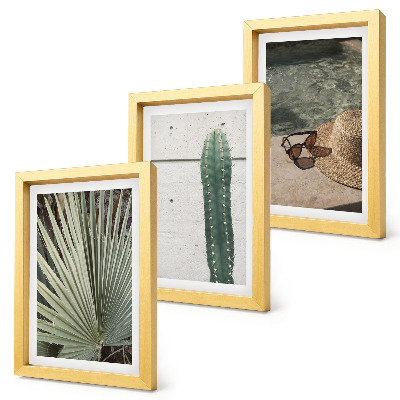Conjunto de molduras com imagens Plantas tropicais e acessórios para férias à beira-mar