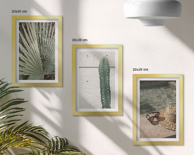 Conjunto de molduras com imagens Plantas tropicais e acessórios para férias à beira-mar